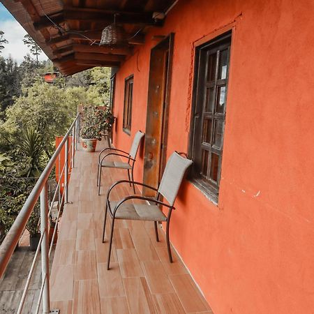 San Jose Del Pacifico- Cabanas Camino Al Cielo 2 Kültér fotó