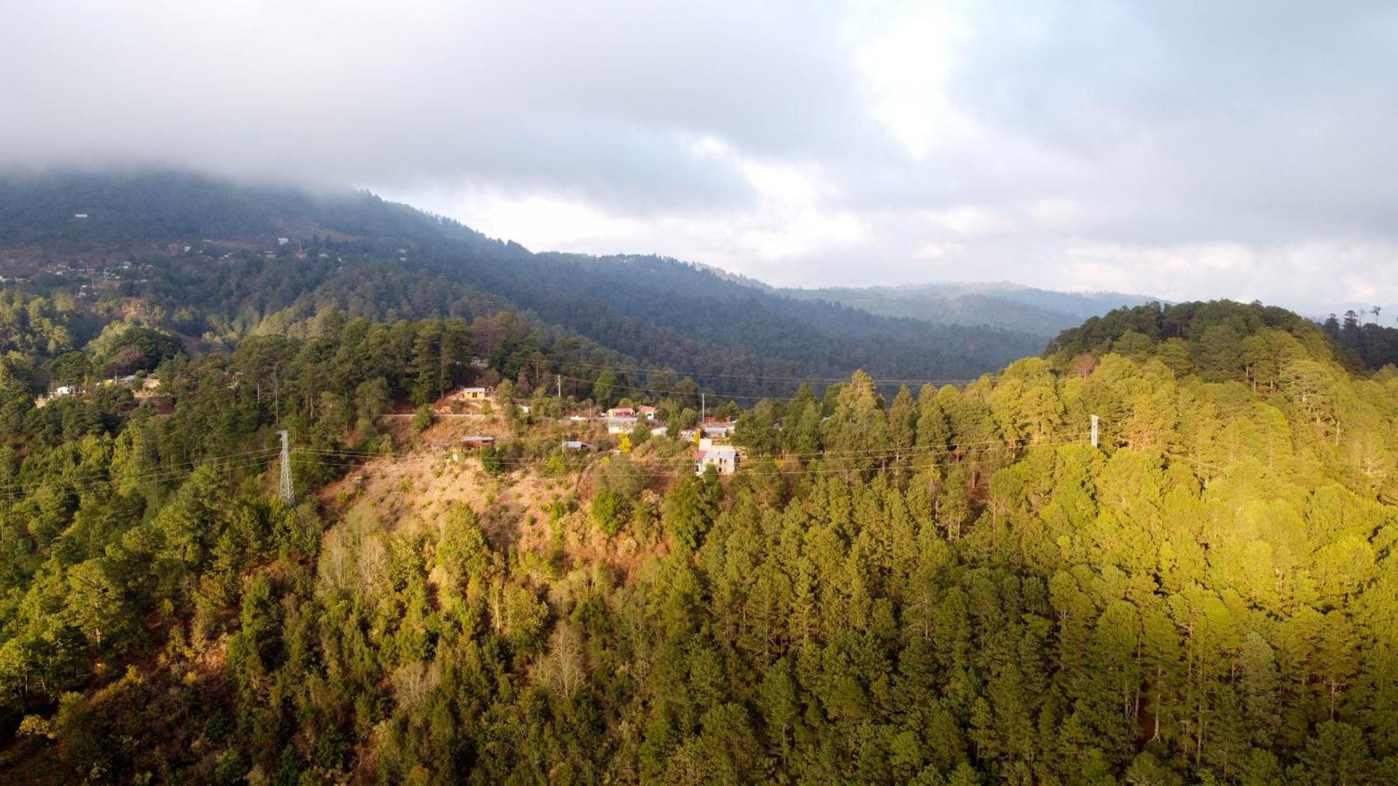 San Jose Del Pacifico- Cabanas Camino Al Cielo 2 Kültér fotó